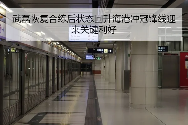 武磊恢复合练后状态回升海港冲冠锋线迎来关键利好